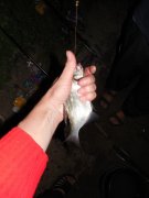 DSCN1540.JPG