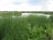 IMG_0011.JPG