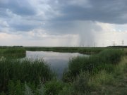 IMG_0013.JPG