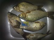28062013117.jpg