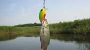 IMG_1680.jpg
