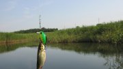 IMG_1681.jpg