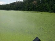 IMG_201306308456.jpg