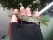 IMG_201306308245.jpg