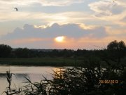 IMG_0776_1.jpg