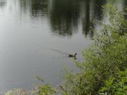 DSC00085.JPG