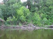 IMG_4253.JPG