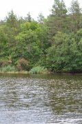 DSC_0649.JPG