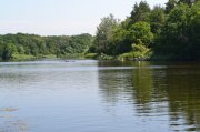 DSC_0674.JPG