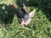 DSC00116.JPG