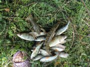 DSC00129.JPG