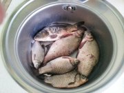 20130706_095319.jpg