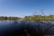 IMG_9506.jpg