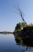 IMG_9510.jpg