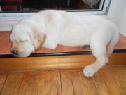 DSCN3273.JPG