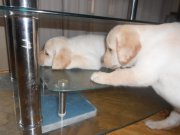 DSCN3249.JPG