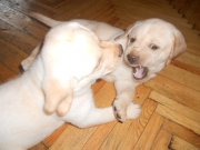 DSCN3223.JPG