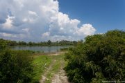 IMG_9530.jpg