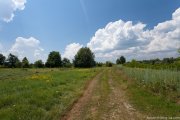 IMG_9533.jpg