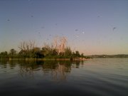 IMG_20130706_064840.jpg