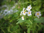 IMG_2160_resize.jpg