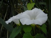 DSCN1389.JPG