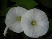 DSCN1390.JPG