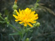 DSCN1391.JPG