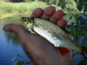 DSCN1409.JPG