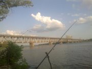 08072013667.jpg