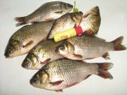 IMG_1891.JPG