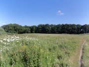 DSC00163.JPG