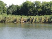 DSC00165.JPG
