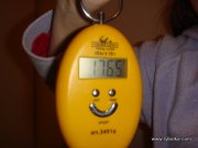 1275482730.jpg