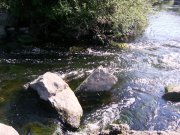 IMAG0192.JPG