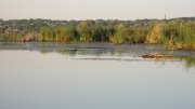 IMG_1691.jpg