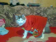 05122010221.jpg