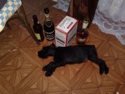 020820081034.jpg