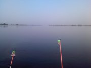IMAGE00031.jpg