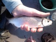 IMAGE00041.jpg