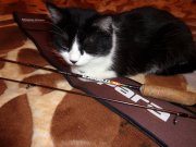 DSC01044.JPG