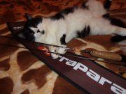 DSC01045.JPG