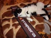DSC01050.JPG