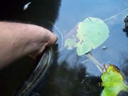 100_4023_thumb.jpg