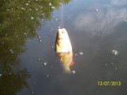 100_4030_thumb.jpg