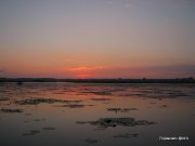 1-IMG_0002.JPG