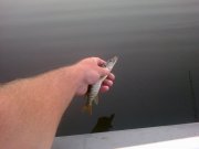 28062013163.jpg