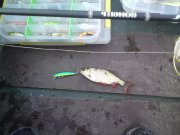 DSC00112.JPG