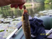 100_4035_thumb.jpg
