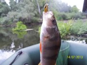 100_4080_thumb.jpg